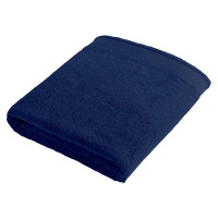 Navy (PMS553c) / Navy